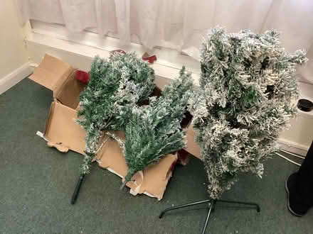 Photo of free 6’ Christmas Tree (Horspath OX33) #2