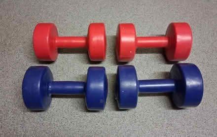 Photo of free 2KG and 3KG weights (Brixton SW9) #1