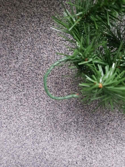 Photo of free Christmas Garland (Braintree CM7) #2