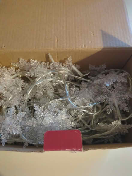 Photo of free Christmas lights (GL4) #2