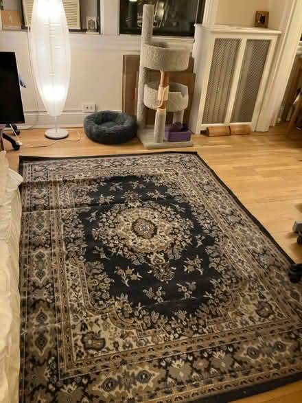 Photo of free Rug (Cleveland Park) #1
