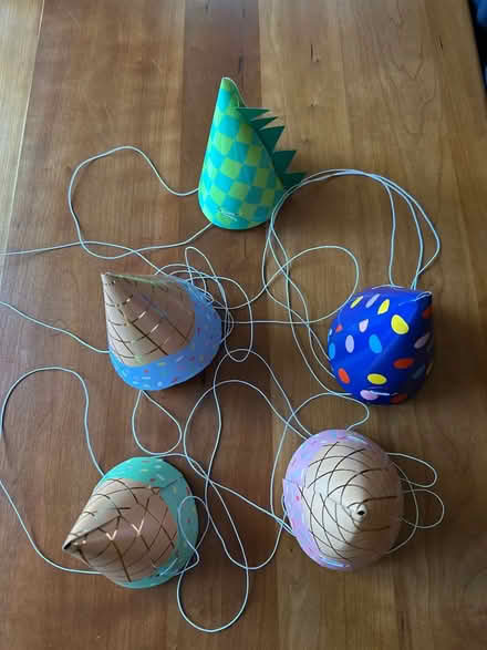 Photo of free 15 Small Party Hats (Watertown, MA) #1