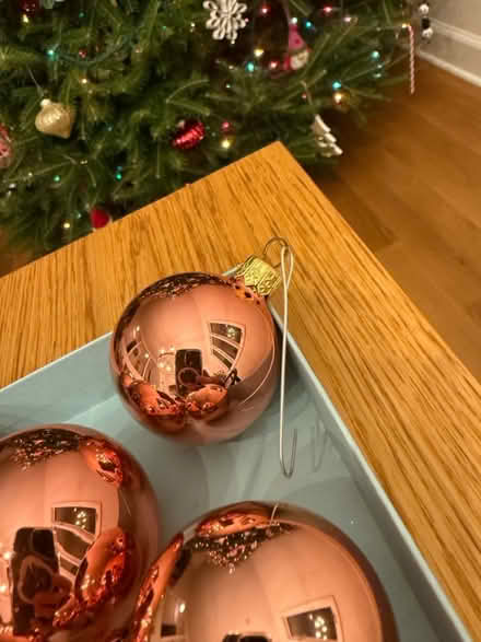 Photo of free Ornaments (12) (Little Silver) #1