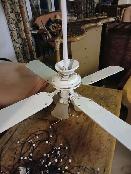 Photo of free Ceiling light and fan (Lydbury North SY7) #1