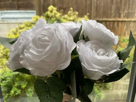 Photo of free 6 White fabric ‘faux’ flowers roses (Saltdean) #3