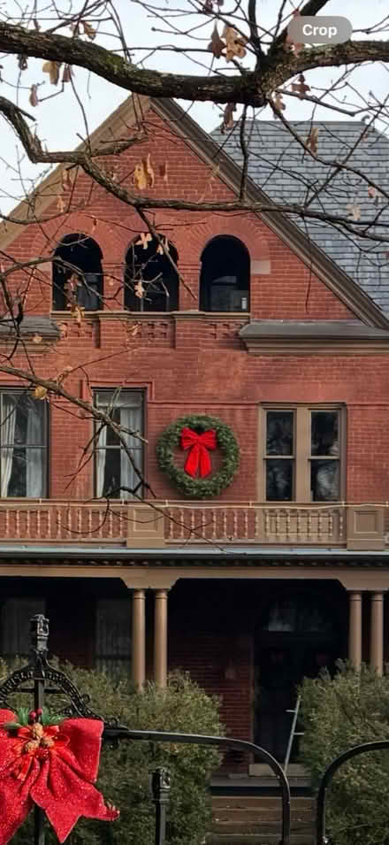 Photo of free Large 60” diameter Christmas wreath (North Downtown Charlottesville) #4