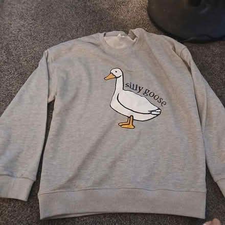 Photo of free Ladies size M jumper (size 10/12) (Spixworth NR10) #1