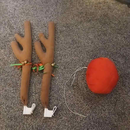 Photo of free Antlers and nose for car (Spixworth NR10) #1