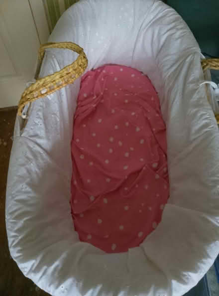 Photo of free Mosses basket (Belle vale L27) #2