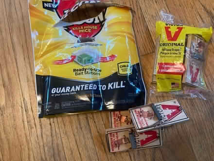 Photo of free Mousetraps (Waltham ma) #1