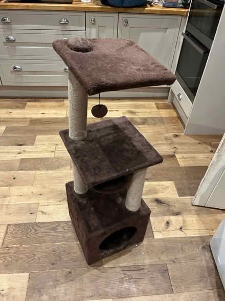 Photo of free Cat tower (Tisbury SP3) #1