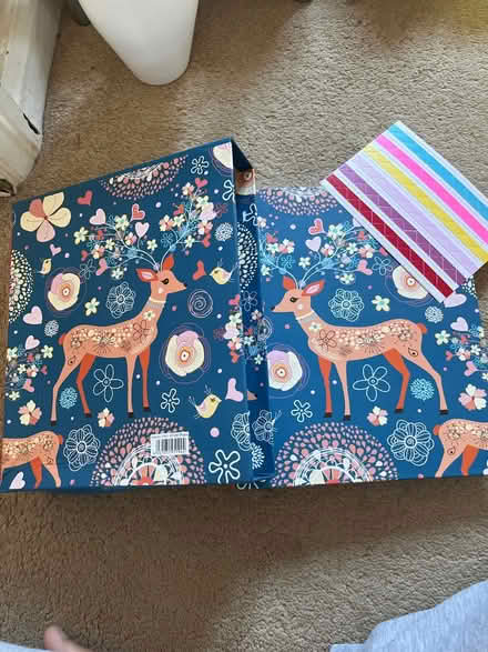 Photo of free Photo Album (Brentford) #1