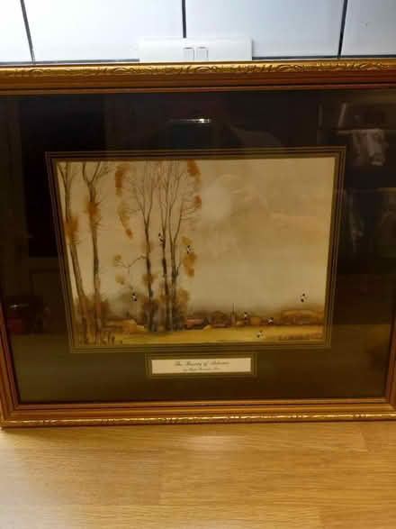 Photo of free 2 x beautiful pictures (Roundhill area brighton) #4