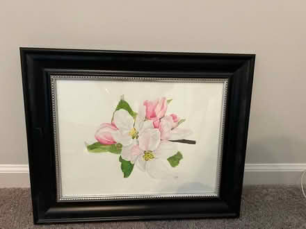 Photo of free Flower print w frame (Leland North Carolina) #1