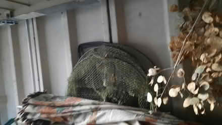 Photo of free fishing nets (Close to Wrexham Centre) #1