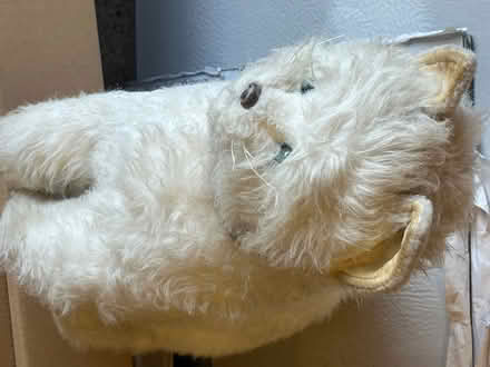 Photo of free Monkey and cat toys (Darwin Park WS14) #2