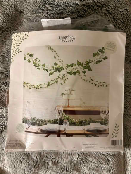 Photo of free Garland - decorative (Kingston Gate KT2) #1