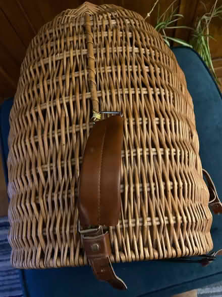 Photo of free Cat travel basket (Southwick BN42) #2
