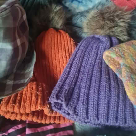 Photo of free Hats & Gloves (Morda SY10) #3