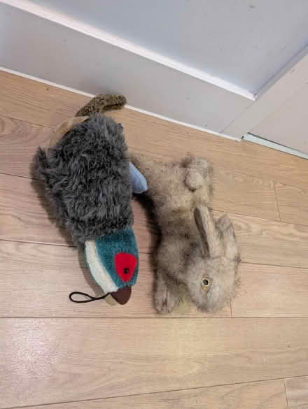 Photo of free Dog toys (Bethnal Green E2) #1