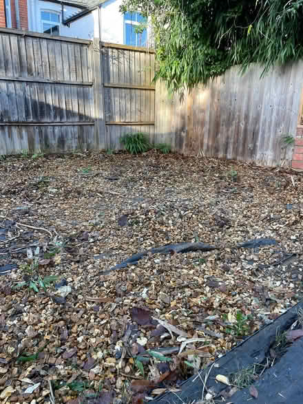 Photo of free 10-20mm golden shingle (Battle RG30) #2