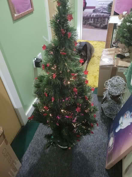 Photo of free Colour changing Fibre optic Christmas Tree 4ft, red stars do (Leavesden WD25) #2