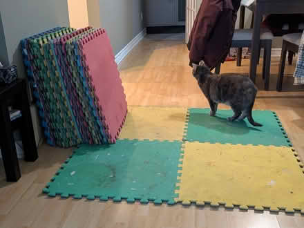 Photo of free Foam exercise mats (Hazeldean/Castlefrank area) #3