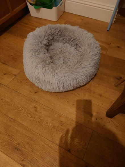 Photo of free Cat's bed (Bellevue EH7) #1