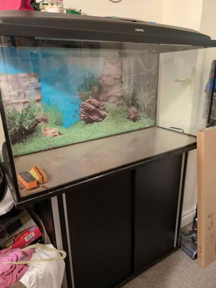 Photo of free Tank and storage press (Offaly) #1