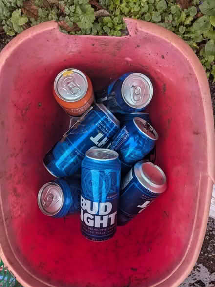 Photo of free low alcohol beer (Lambridge Larkhall Bath) #1
