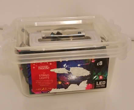 Photo of free Christmas Tree Lights (Rochford SS4) #1