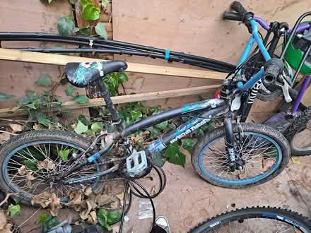 Photo of free BMX bike (Wollaton Park, NG8) #1