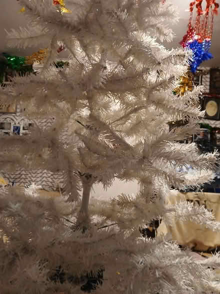 Photo of free xmas tree (Little Carleton FY3) #1