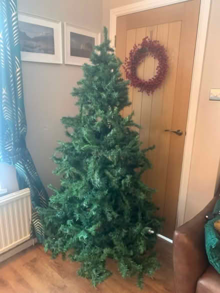 Photo of free 6 ft Christmas tree (Belle Isle LS10 Leeds) #2