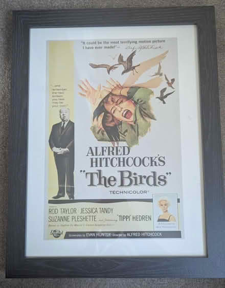 Photo of free The Birds movie poster print (Bromborough Rake, CH62) #1