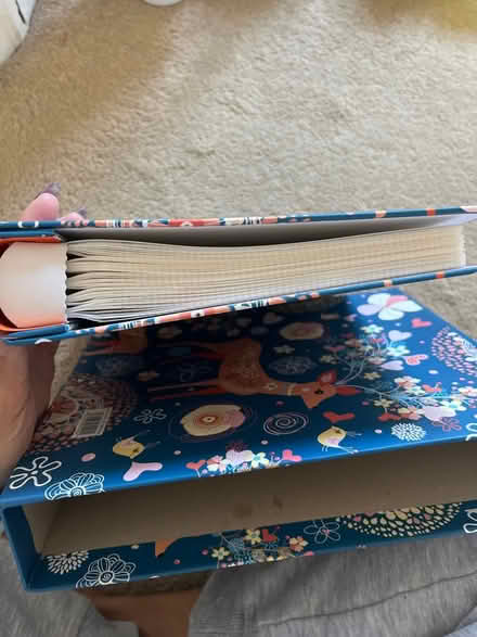 Photo of free Photo Album (Brentford) #3