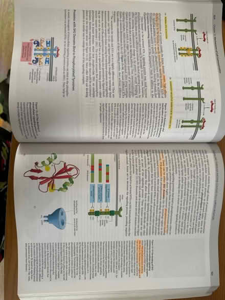 Photo of free Molecular Biology of The Cell (Greater Leys OX4) #2
