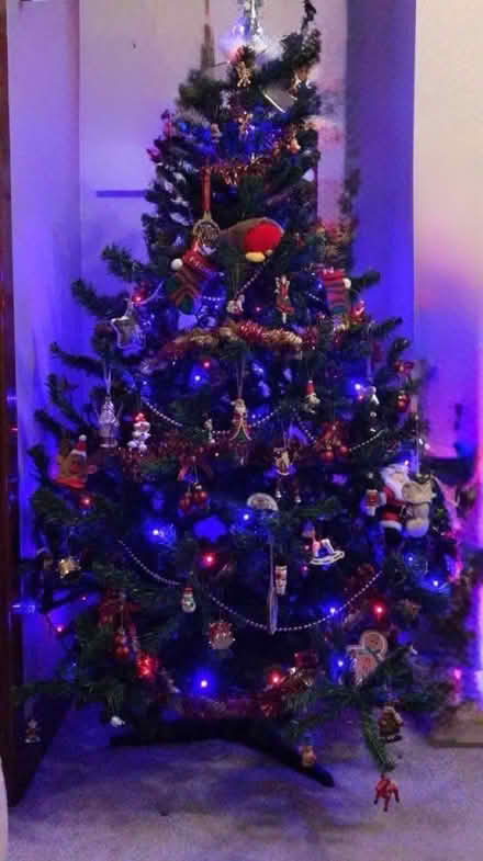Photo of free Artificial Christmas Tree (Larkhall, Bath) #2