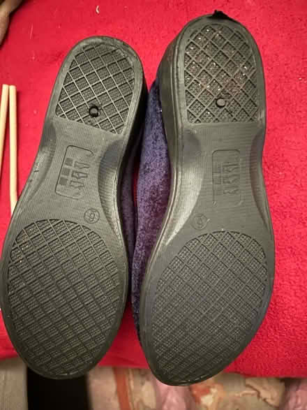 Photo of free Slippers (Hanworth RG12) #2