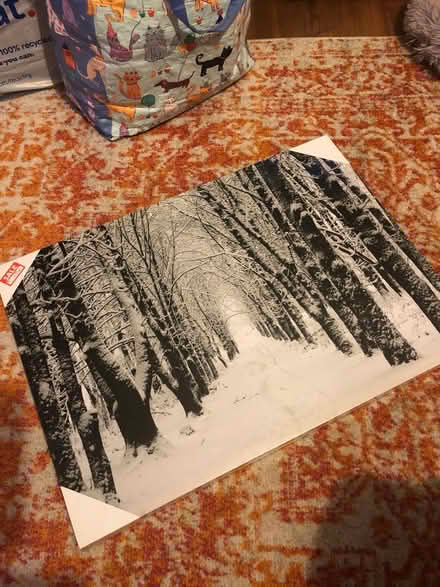 Photo of free Large snowy scene canvas (Bedfont TW14) #2