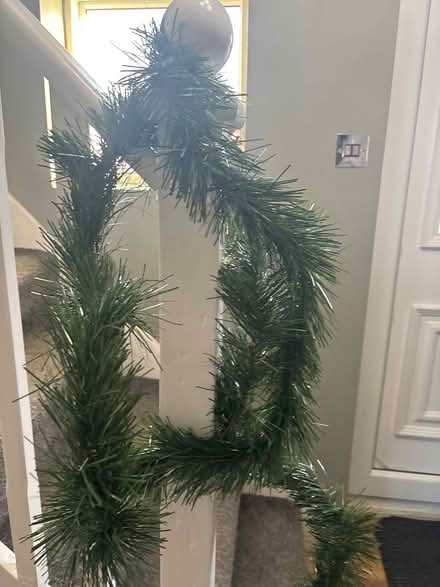 Photo of Garland (Luton - LU4) #1