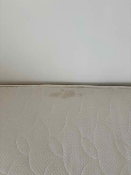 Photo of free Single divan bed (Hythe Kent) #2