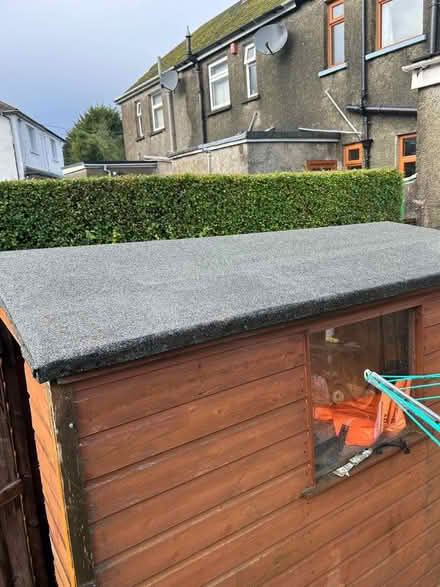 Photo of free 8 x 6 Garden Shed (Bangor BT19) #3