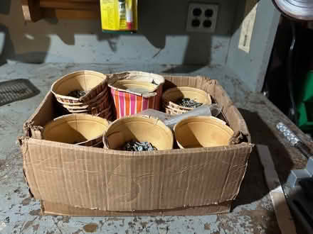 Photo of free machine screws & other hardware (South West Whitby) #1