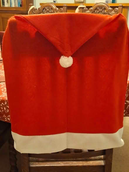 Photo of free Santa chair cover (Bathampton) #1