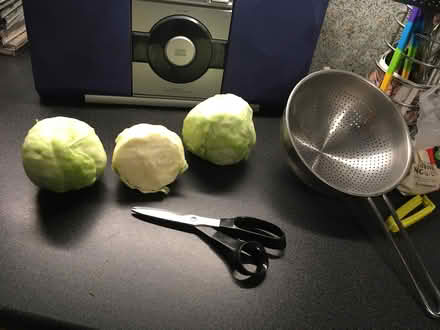Photo of free Cabbage for chickens/ rabbits etc (Springfield MK6) #2