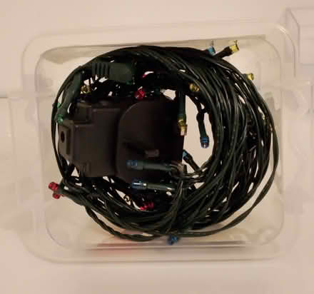 Photo of free Christmas Tree Lights (Rochford SS4) #2
