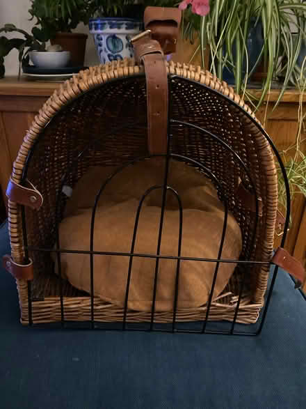 Photo of free Cat travel basket (Southwick BN42) #1