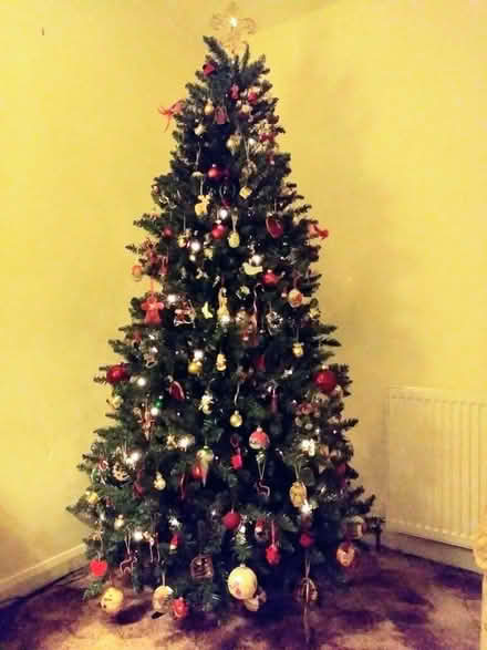 Photo of free 7 ft Artificial Christmas Tree (Walsgrave CV2) #1