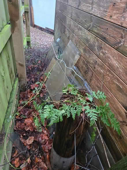 Photo of free Greenhouse glass (Lower Hartshay DE5) #1